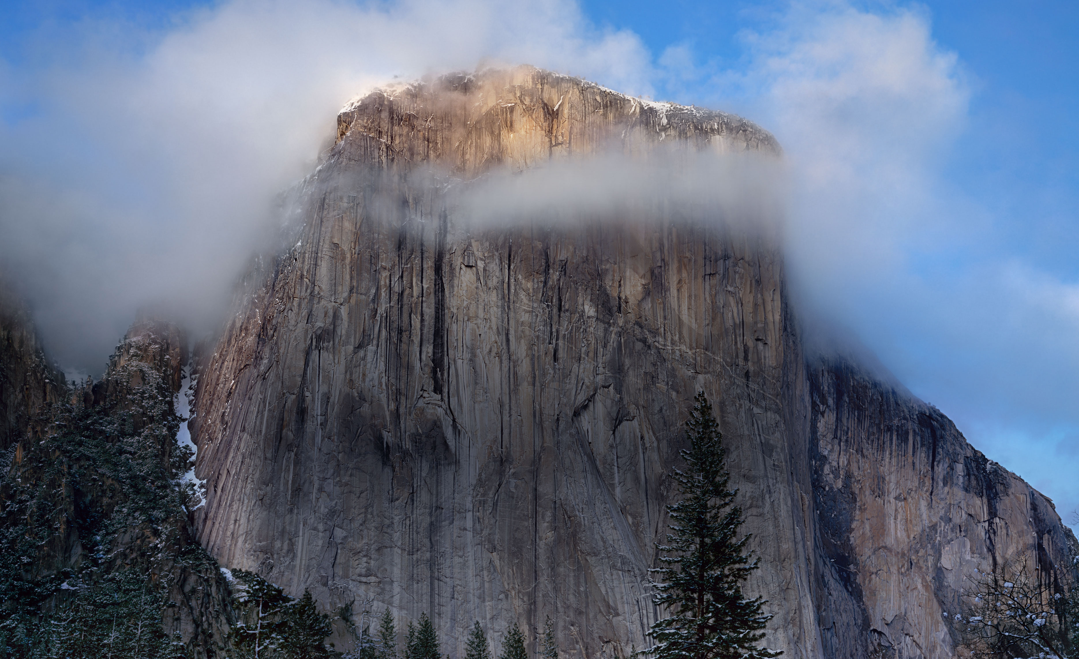 Download Mac Os Yosemite On Pc